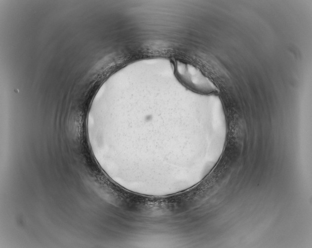 X0000111660744200908141313