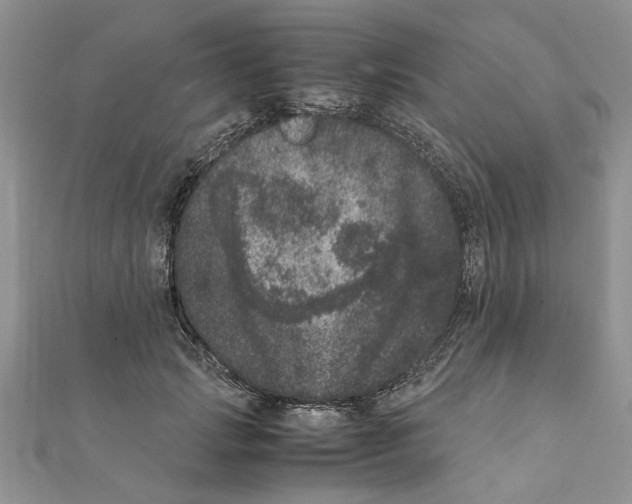 X0000111660749200908141313