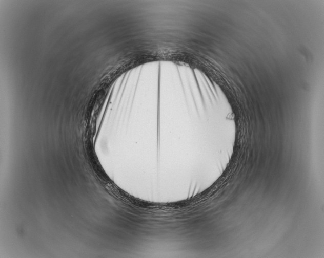 X0000111660750200908141313