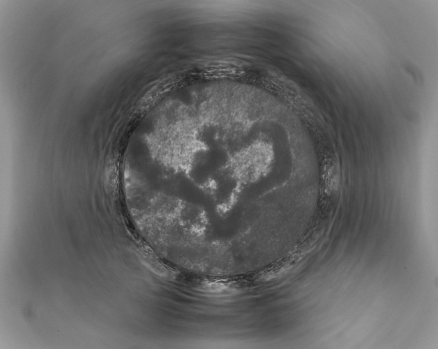 X0000111660753200908141313