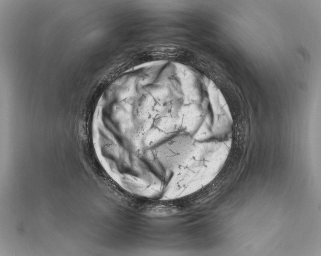 X0000111660755200908141313