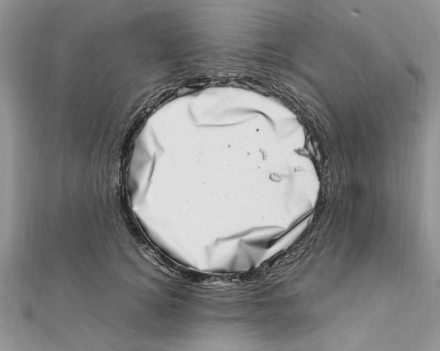 X0000111660756200908141313