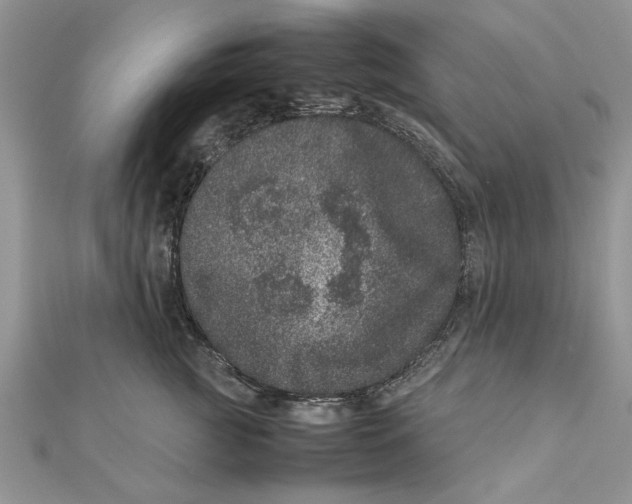 X0000111660761200908141313