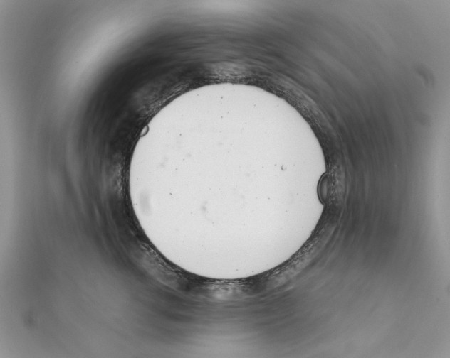 X0000111660762200908141313