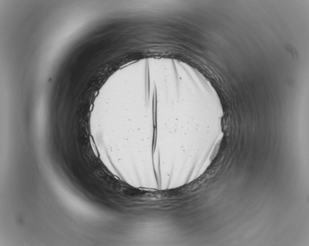 X0000111660764200908141313