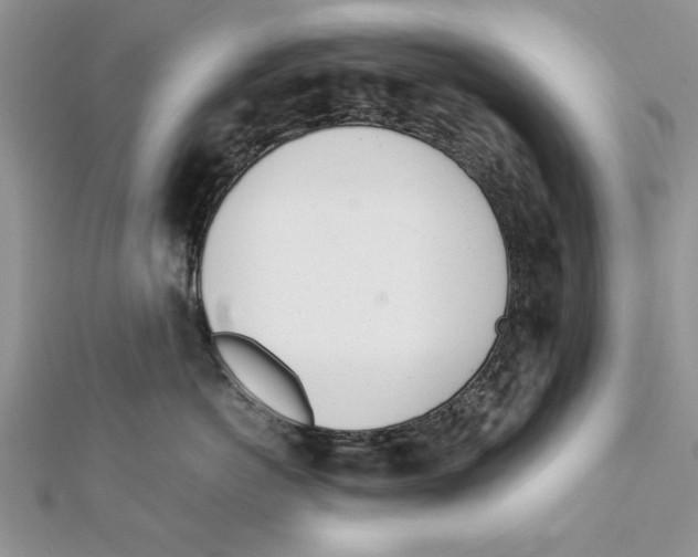 X0000111660766200908141313