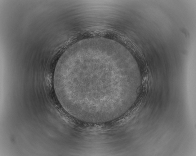 X0000111660772200908141313