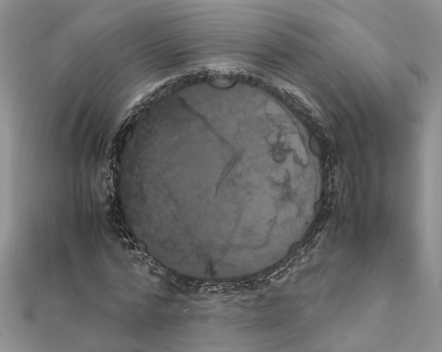 X0000111660776200908141313