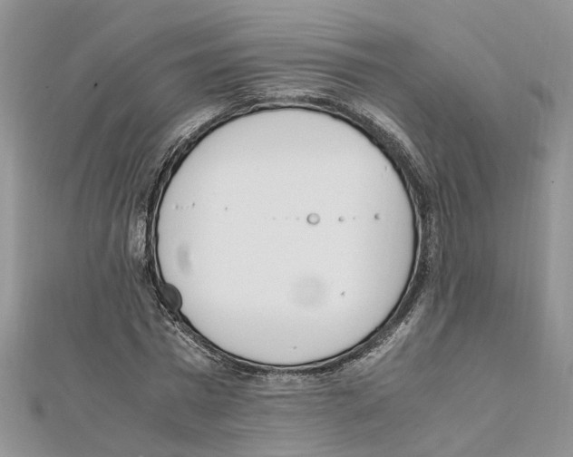 X0000111660777200908141313