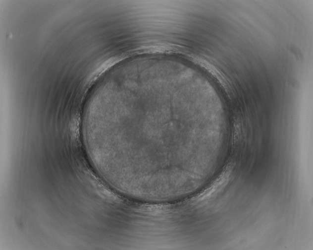 X0000111660778200908141313