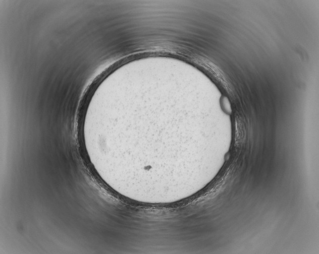 X0000111660780200908141313