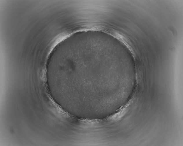 X0000111660781200908141313