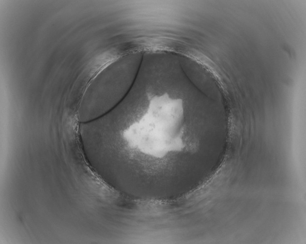 X0000111660785200908141312