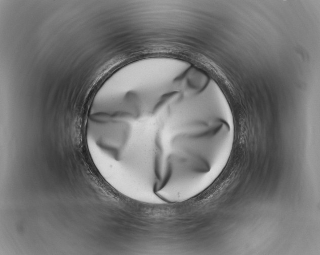 X0000111660786200908141312