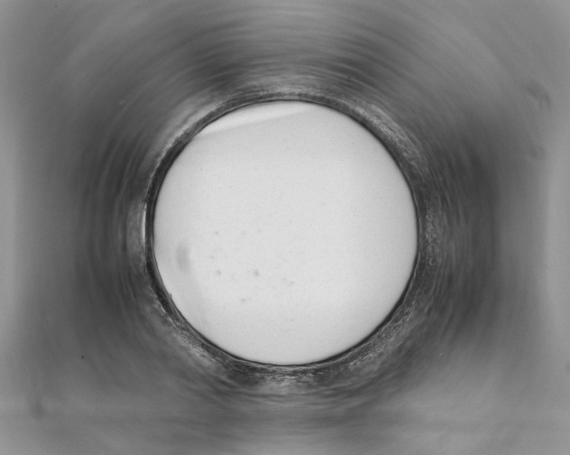 X0000111660790200908141312