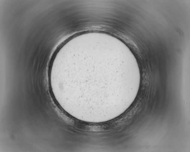 X0000111660792200908141312