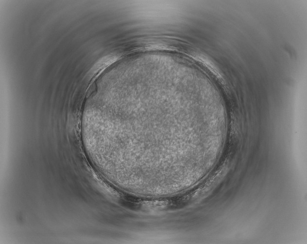 X0000111660793200908141312