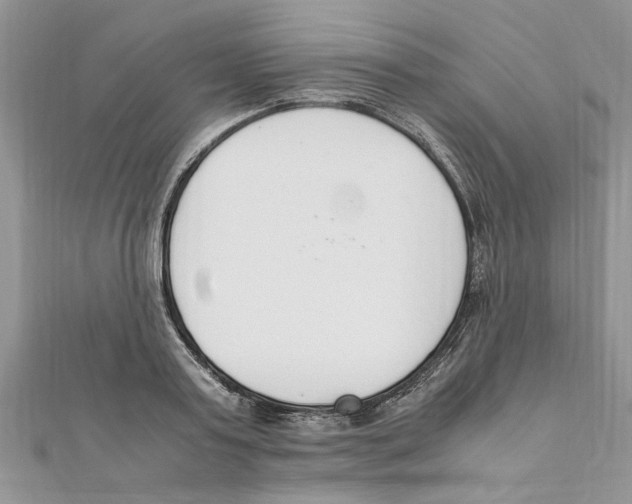 X0000111660795200908141312