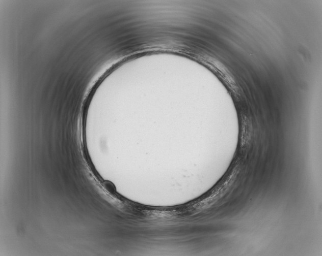 X0000111660796200908141312