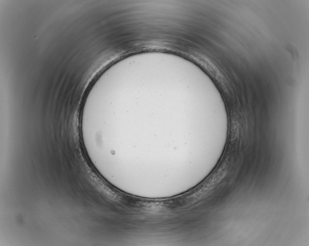 X0000111660798200908141312