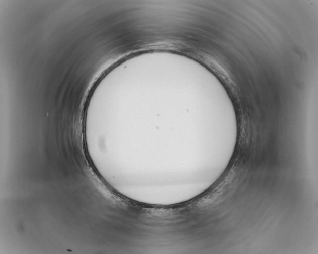 X0000111660800200908141312