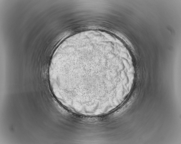 X0000111660801200908141312