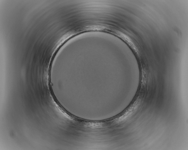 X0000111660802200908141312