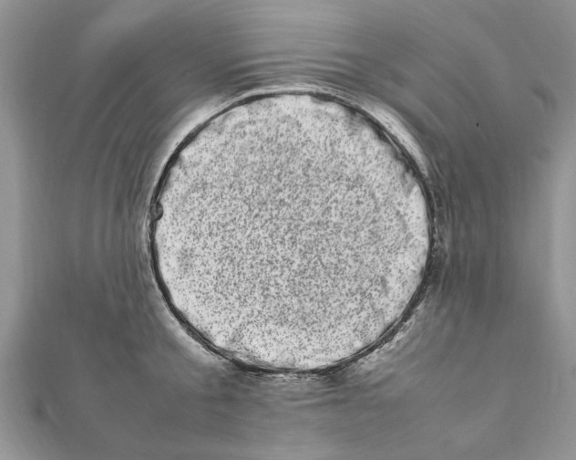 X0000111660805200908141312