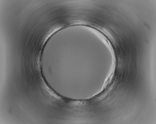 X0000111660806200908141312