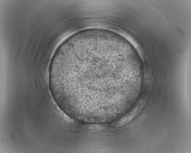 X0000111660807200908141312