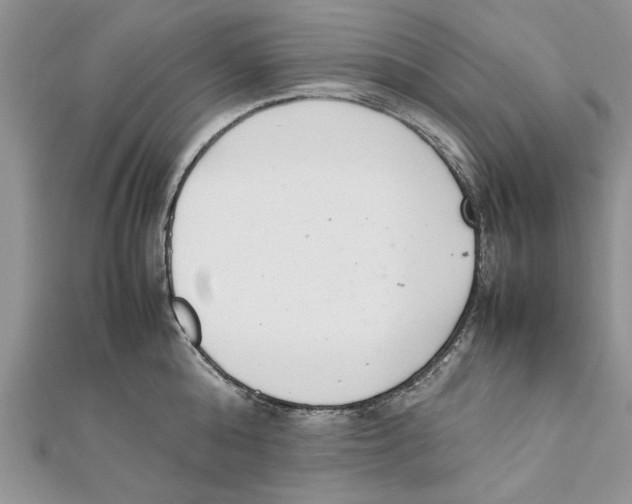 X0000111660808200908141312