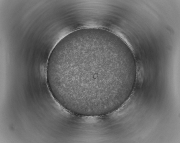 X0000111660810200908141312