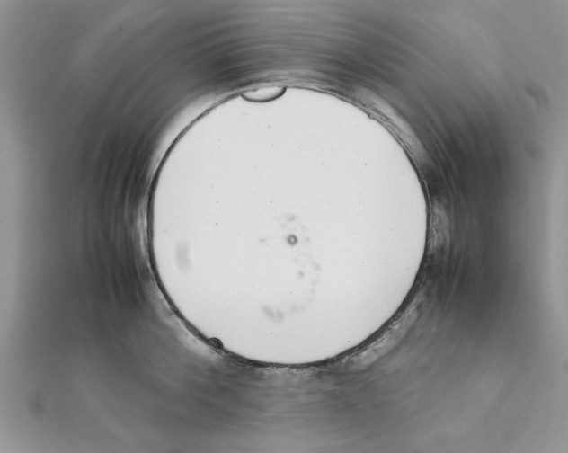 X0000111660812200908141312