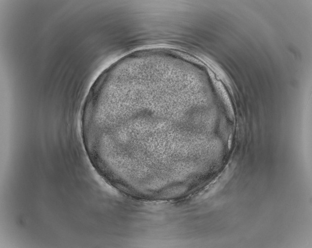 X0000111660813200908141312