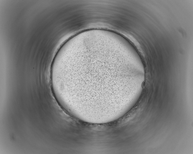 X0000111660815200908141312