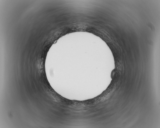 X0000111660818200908141311