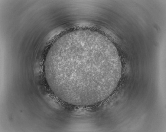 X0000111660824200908141311