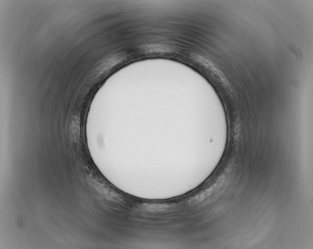 X0000111660825200908141311