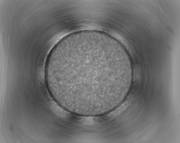 X0000111660828200908141311