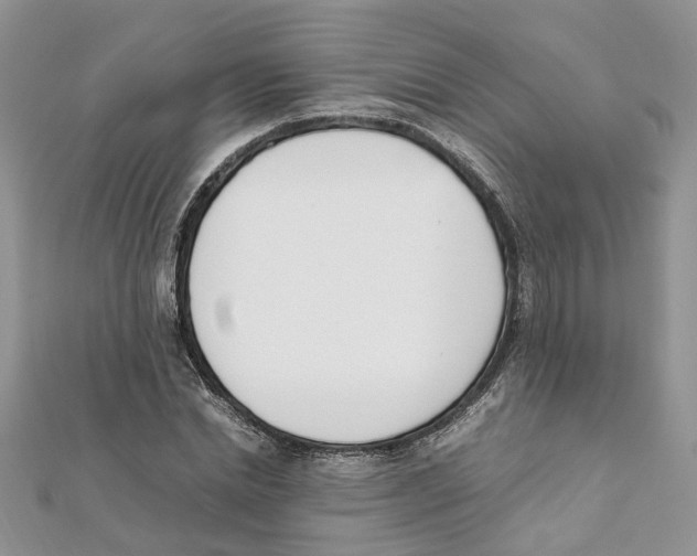 X0000111660830200908141311