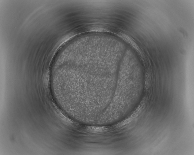 X0000111660831200908141311