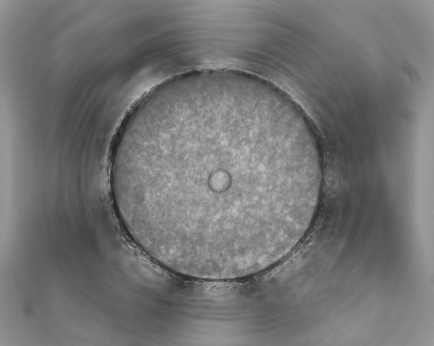 X0000111660832200908141311