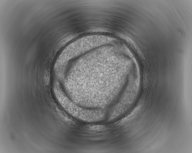 X0000111660833200908141312