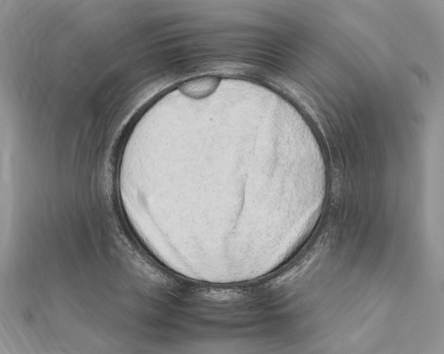 X0000111660835200908141312