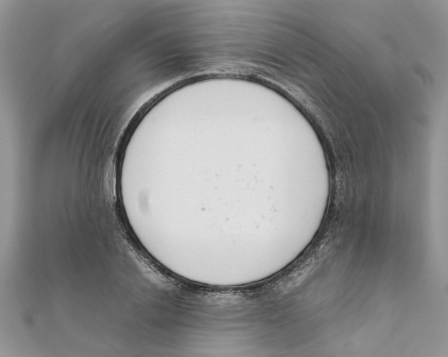 X0000111660838200908141312