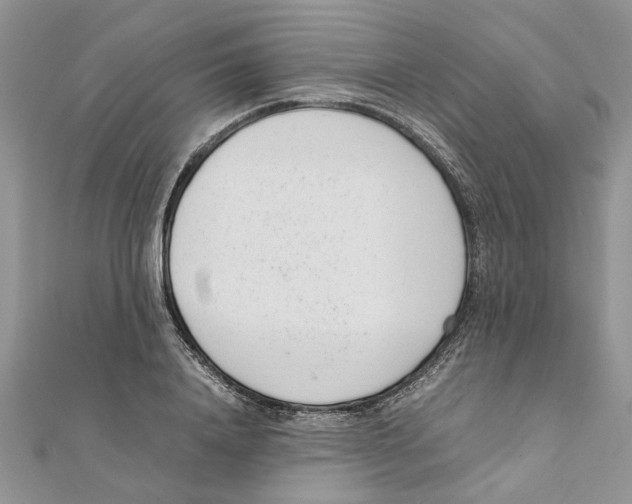 X0000111660840200908141312