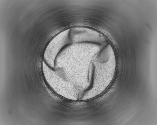 X0000111660841200908141312