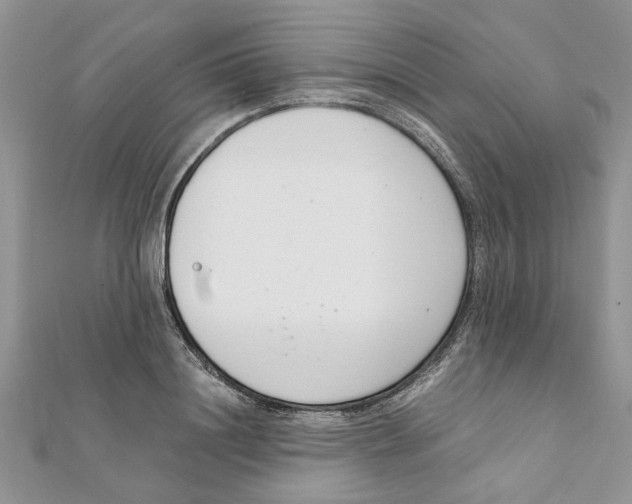 X0000111660844200908141312