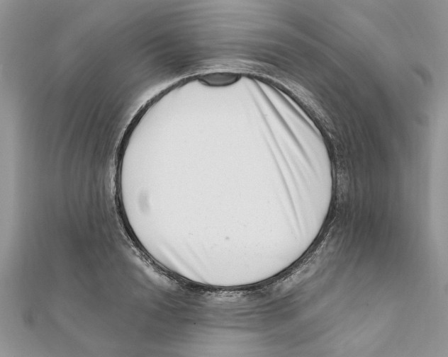 X0000111660846200908141312