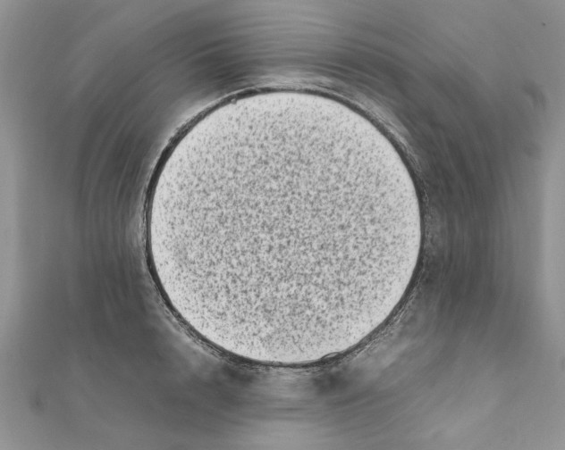 X0000111660848200908141312